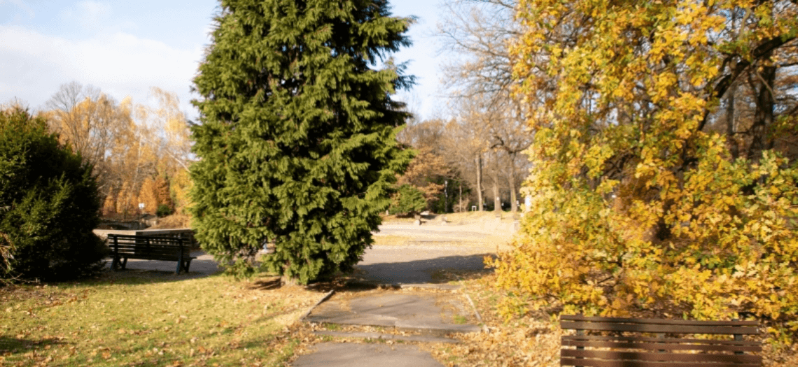 Inwestycja "Bulwary przy stawie Przystań"