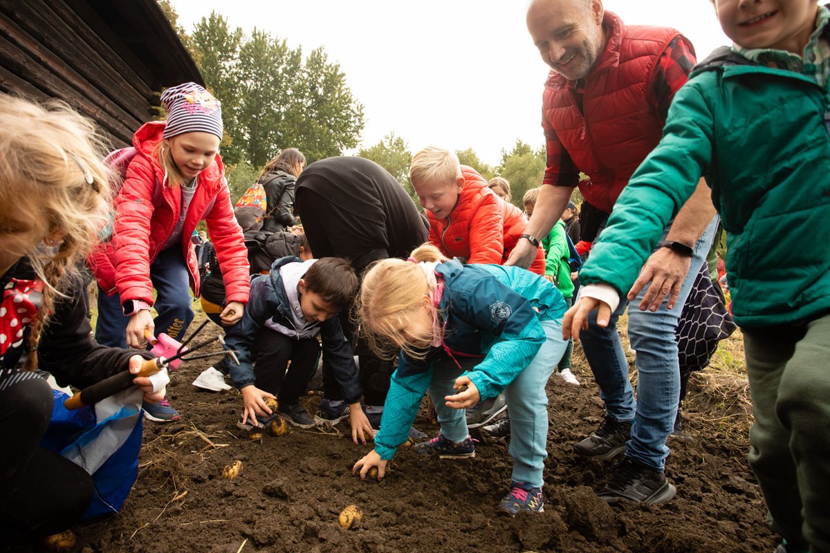 Chorzów. Dzień Kartofla w skansenie 17 września 2023 r