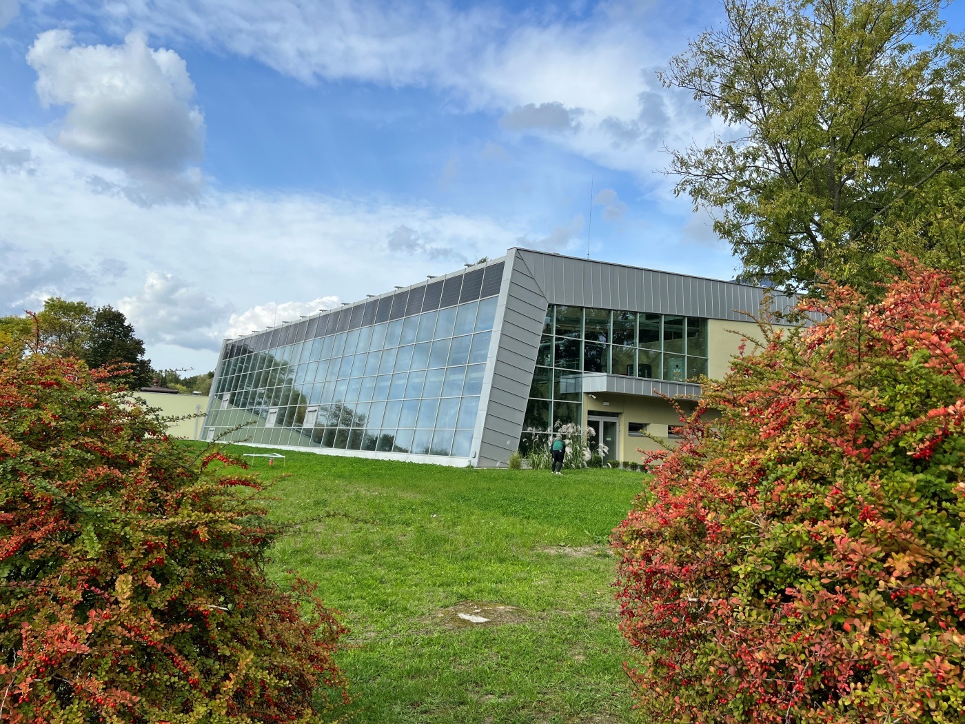 Chorzów zoo las deszczowy 25