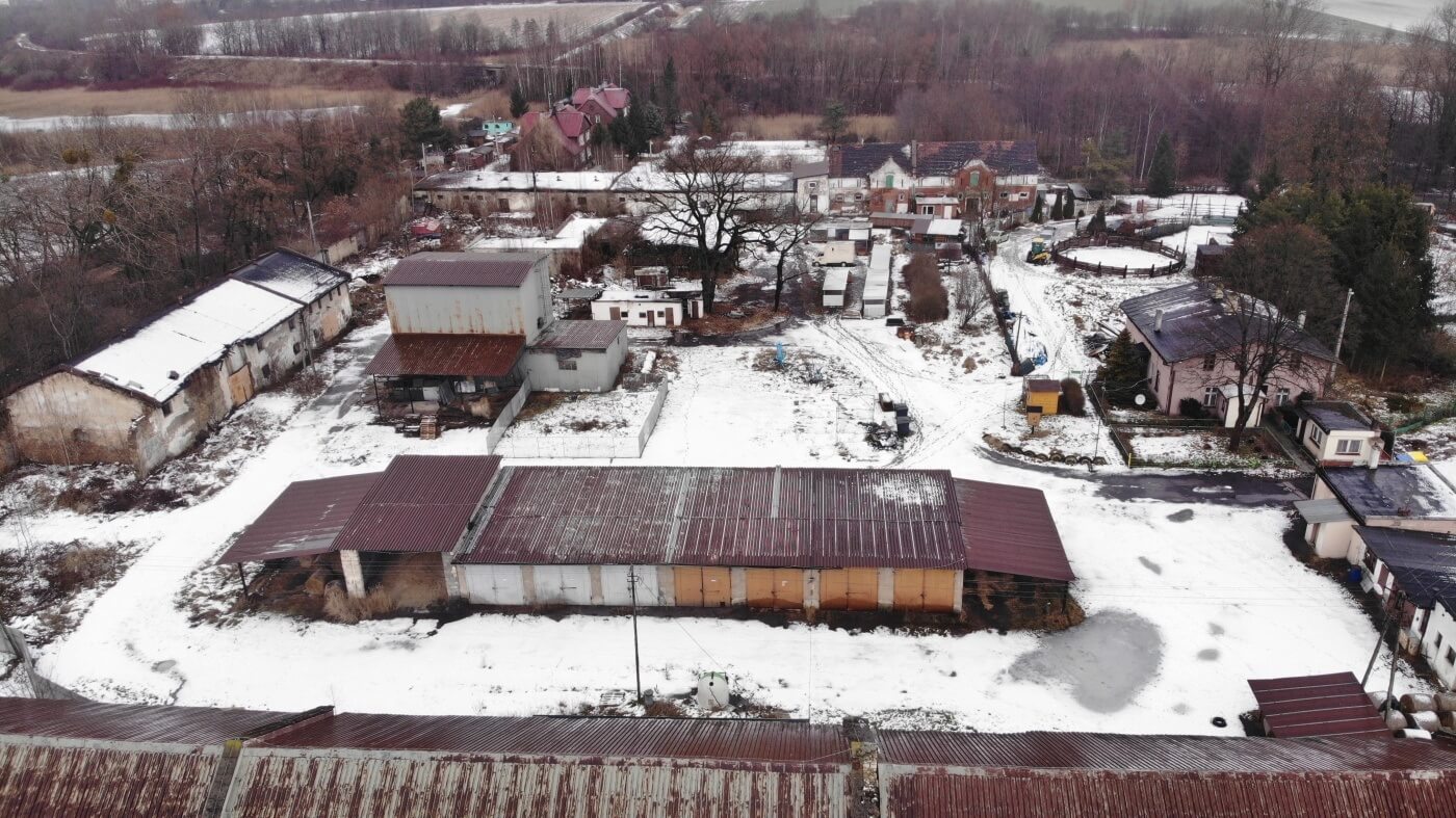 Chorzów Schronisko dla zwierząt potrzebuje pomocy 9