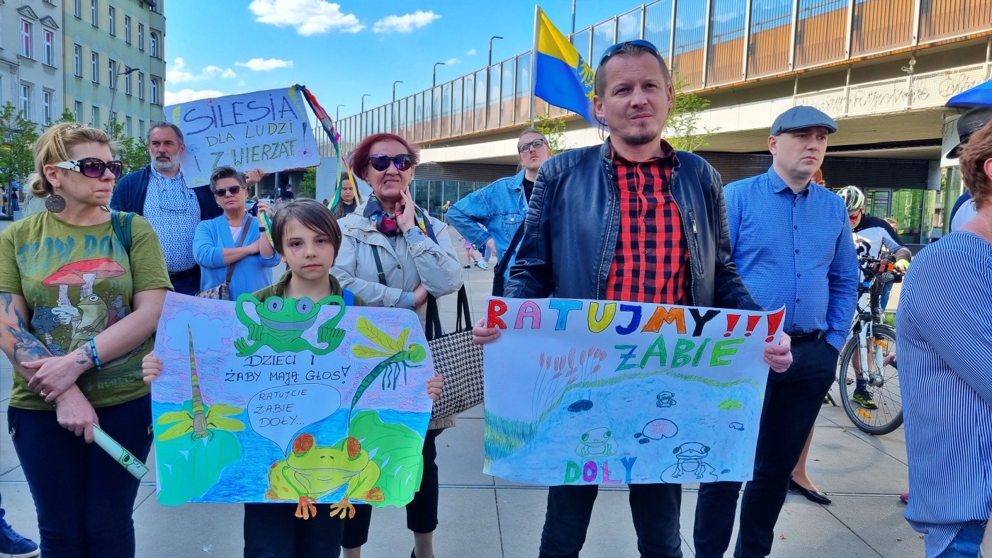 Demonstracja w obronie Żabich Dołów