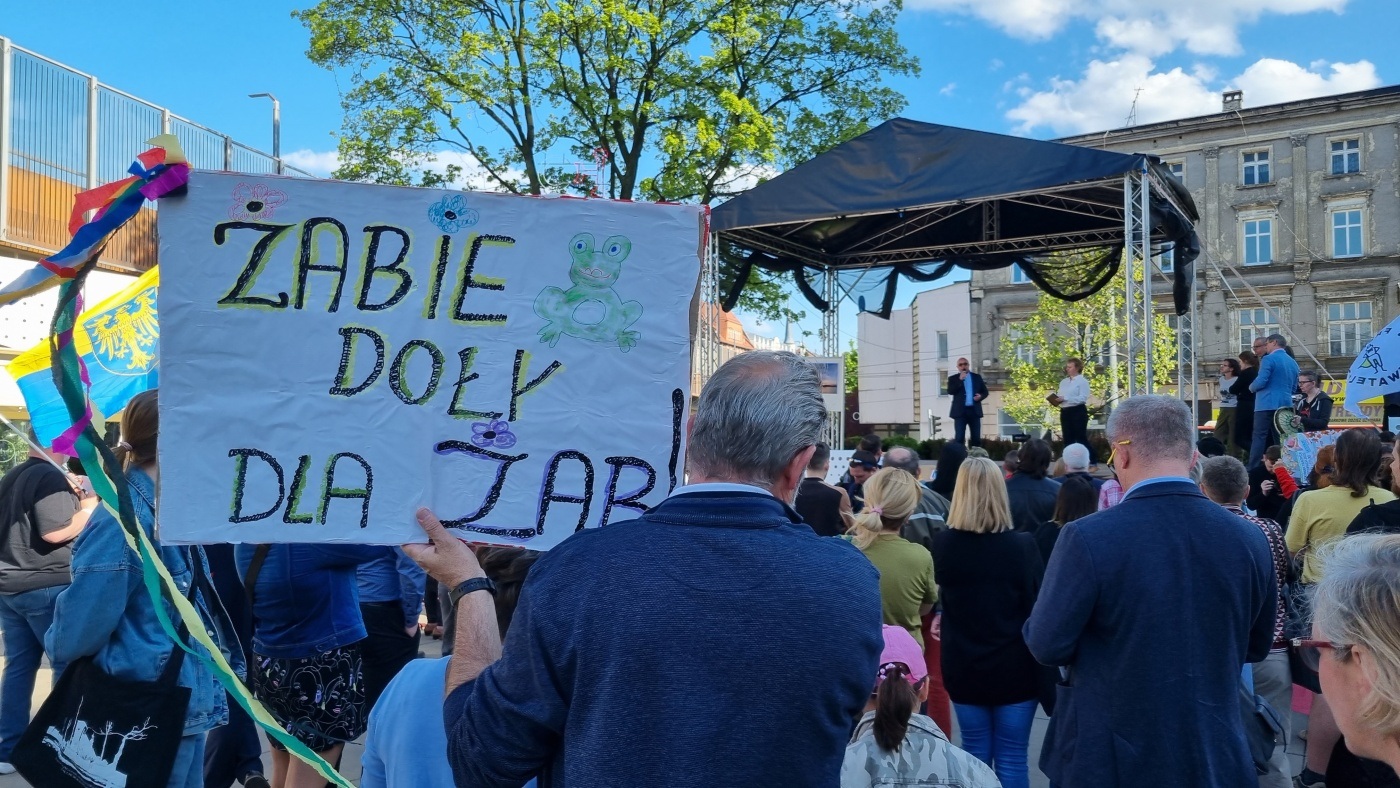 Demonstracja w obronie Żabich Dołów 17