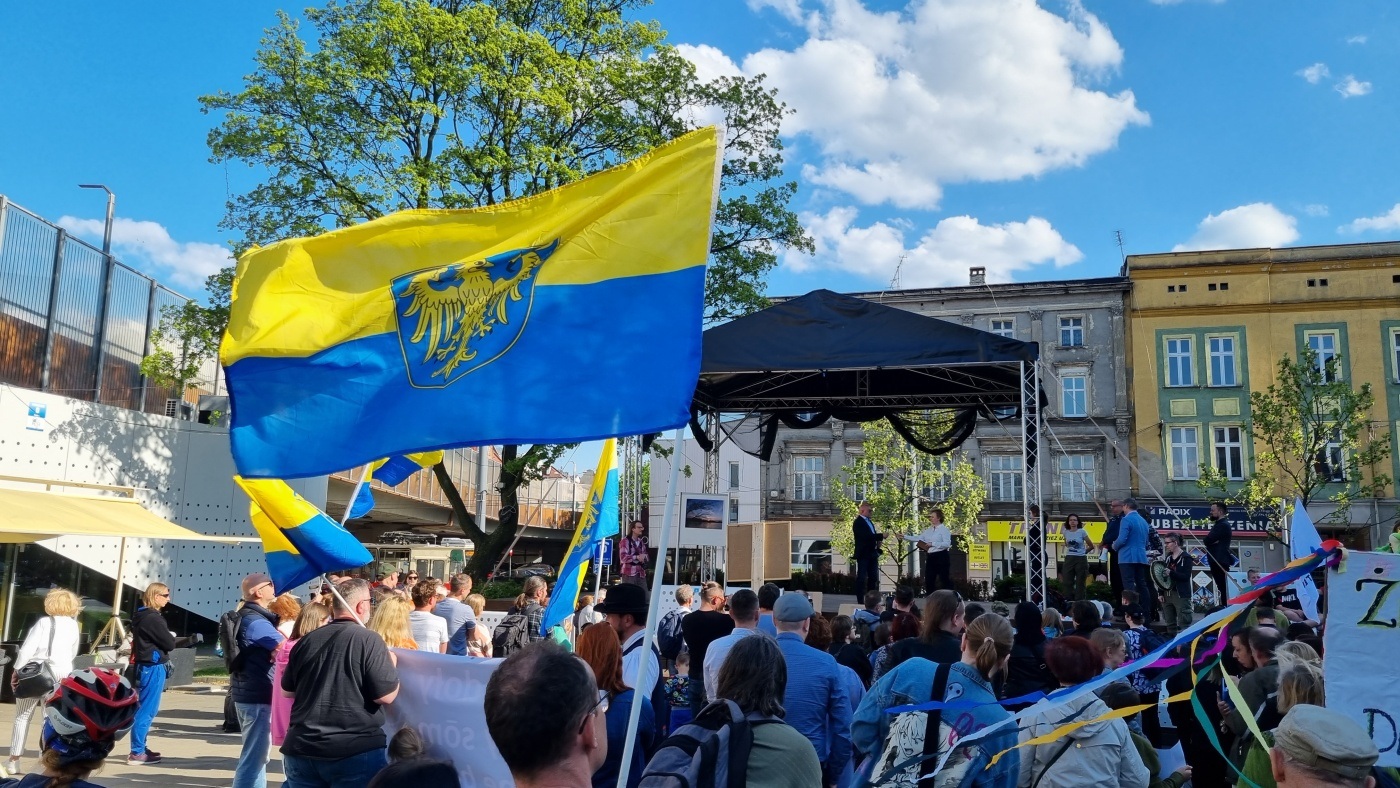 Demonstracja w obronie Żabich Dołów 18