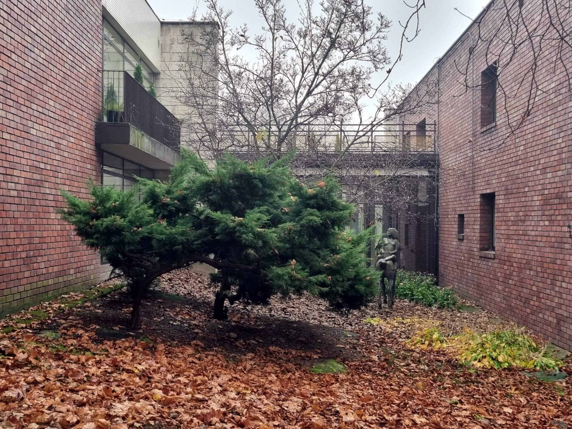 Dyrekcja Parku Śląskiego 17