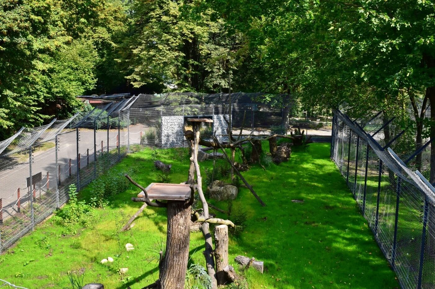 Kolejna inwestycja w śląskim zoo Otwarto nowy kompleks dla rosomaków tudnrowych i rysi euroazjatyckich 6