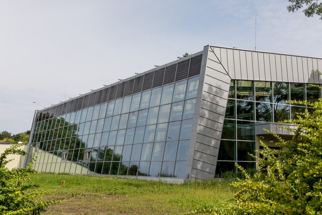 Las deszczowy w śląskim zoo prawie gotowy Zobaczcie jak się prezentuje 36