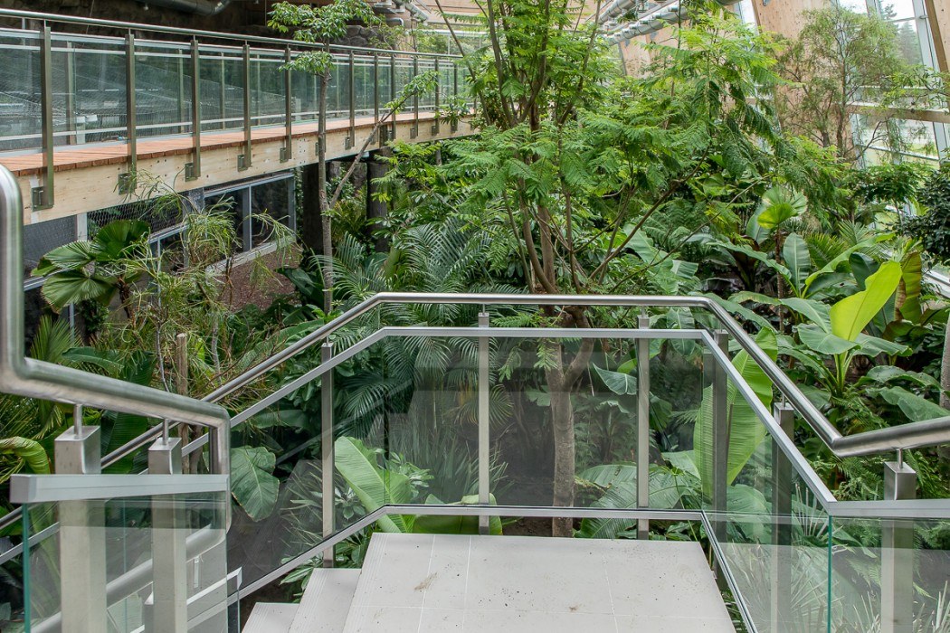 Las deszczowy w śląskim zoo prawie gotowy Zobaczcie jak się prezentuje