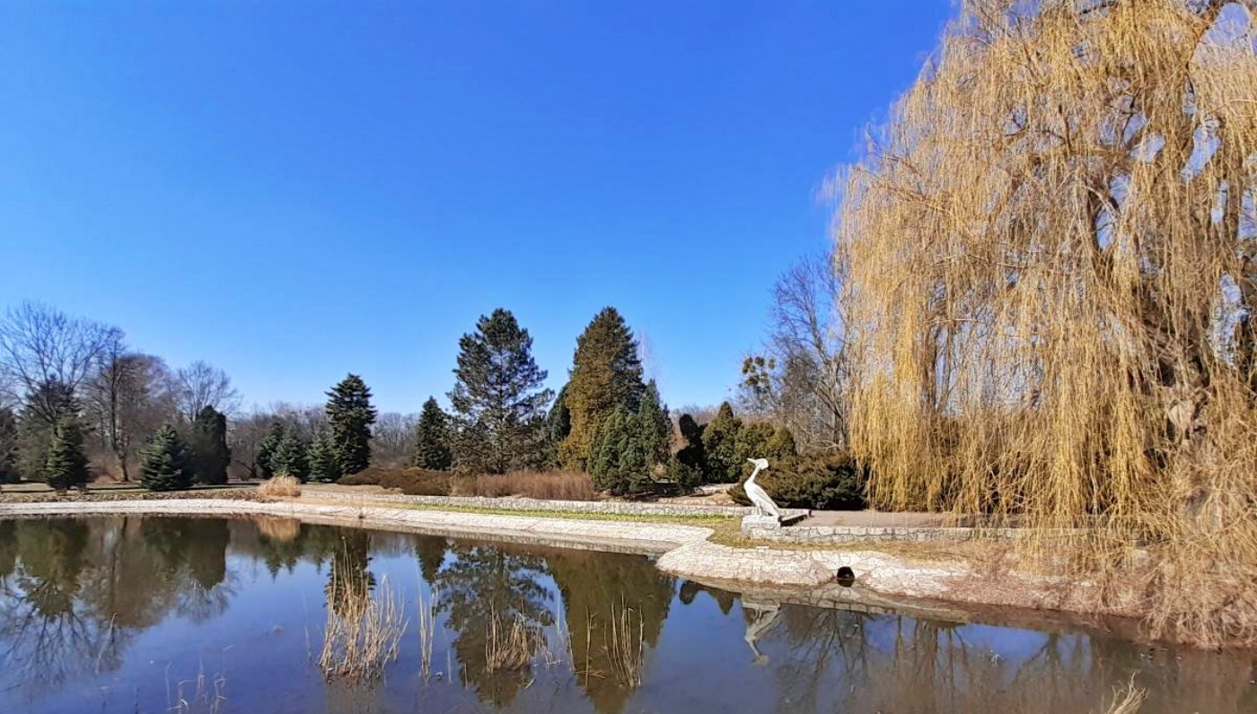 Park Śląski Ogród Bylinowy 2