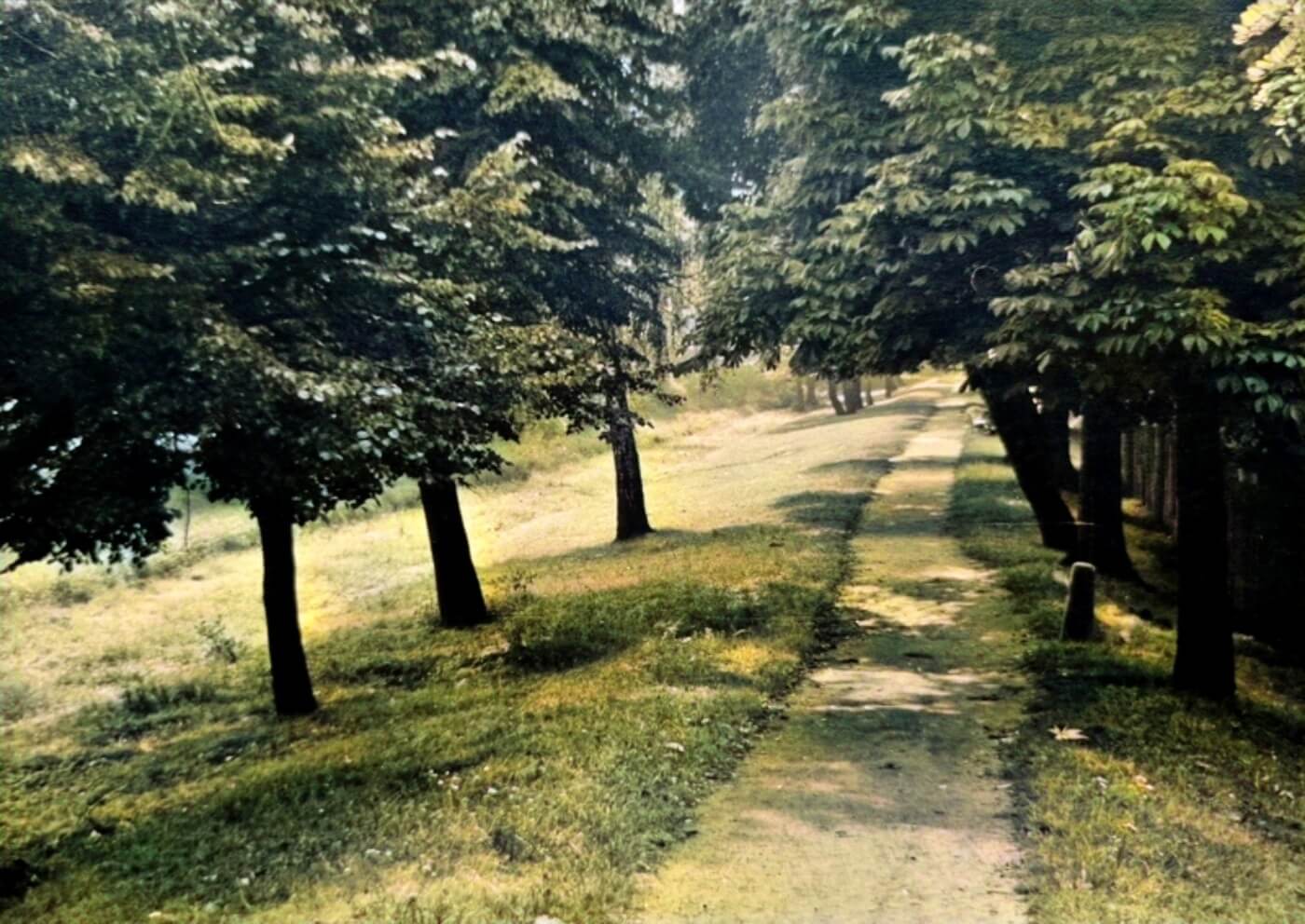 Park Śląski WP Ki W w latach 50 XX wieku 1
