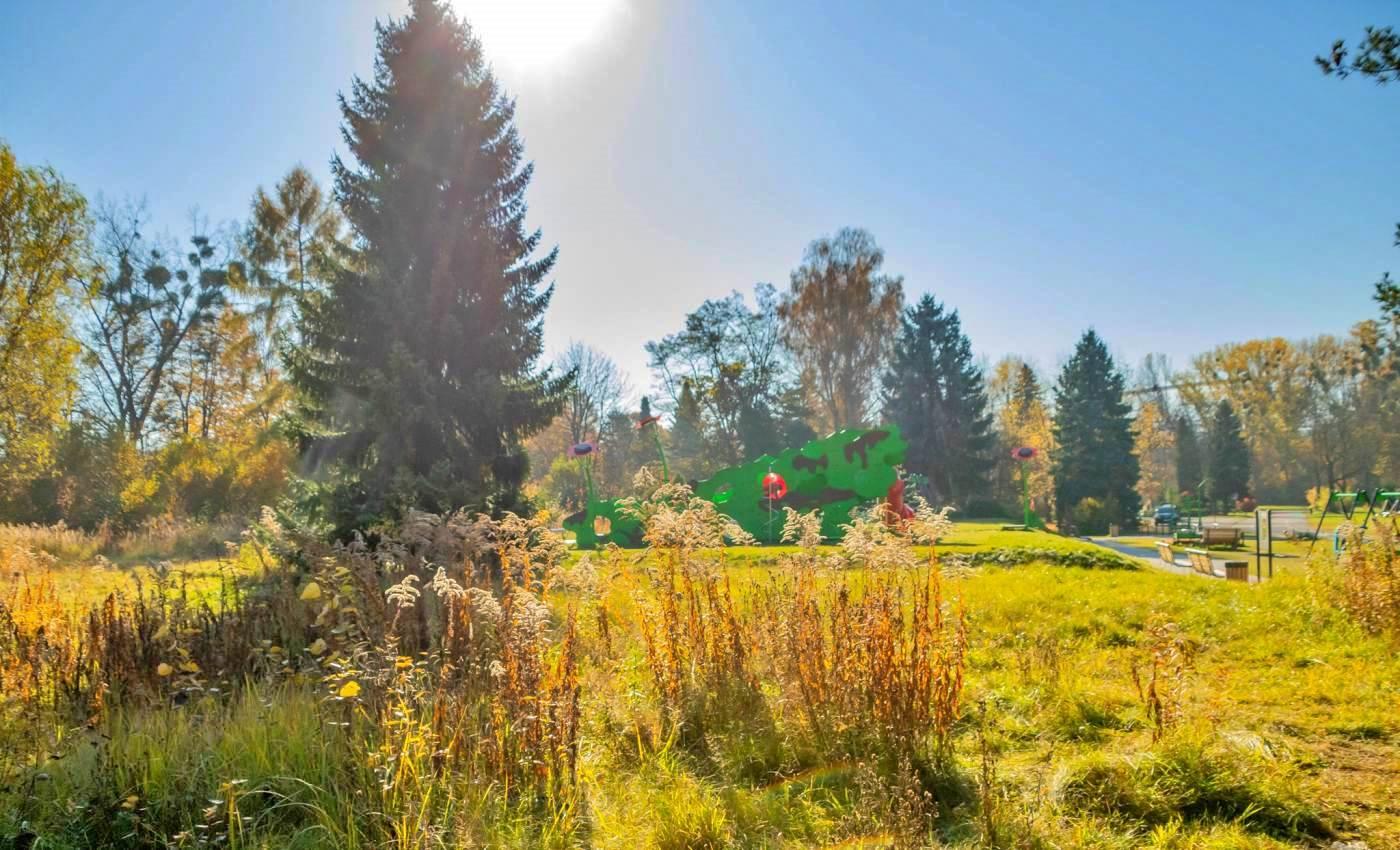 Park Śląski wodny plac zabaw