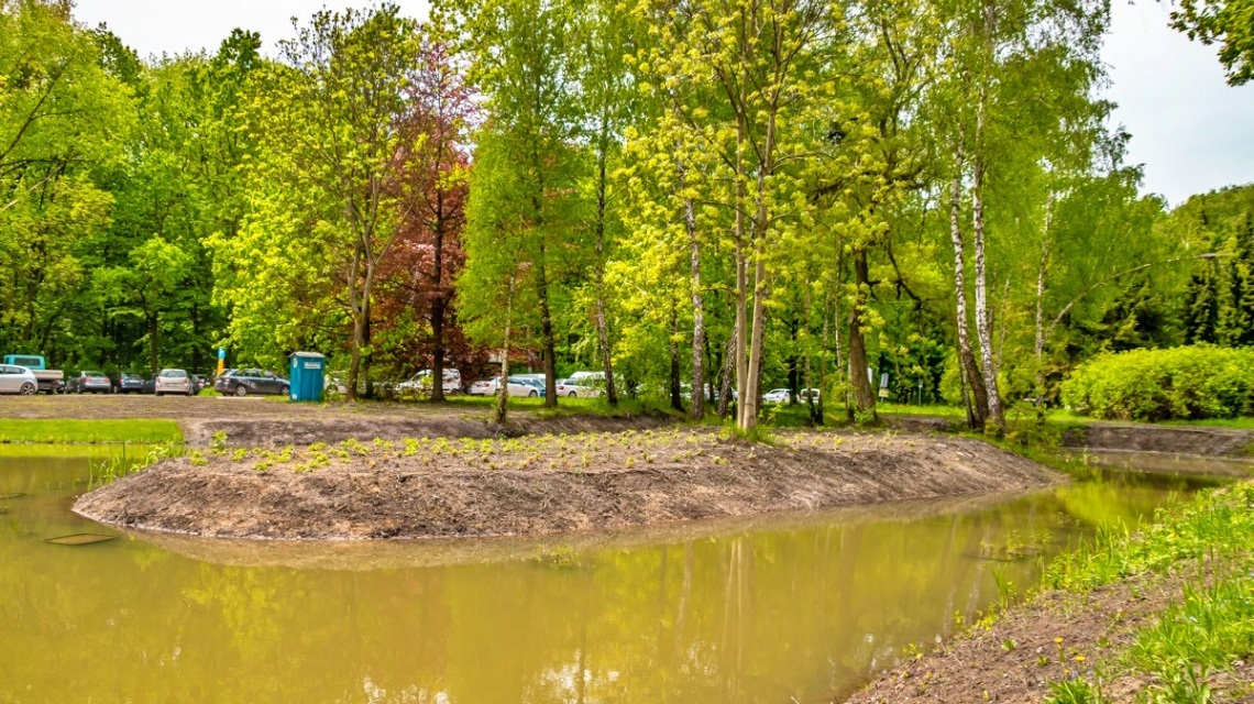 Park Śląski Oczyszczone stawy przy Planetarium i Świątyni Petrycha