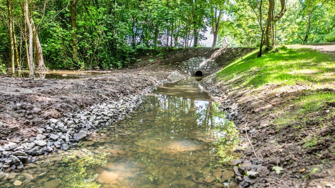 Park Śląski Odbudowany polder przeciwpowodziowy 1