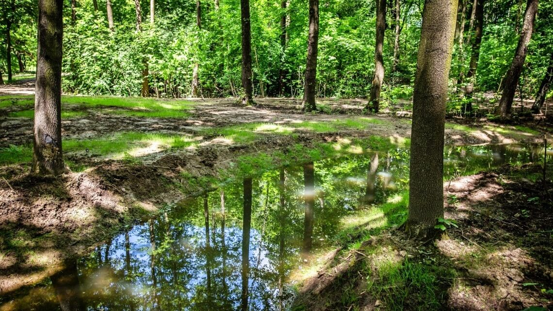 Park Śląski Odbudowany polder przeciwpowodziowy 3