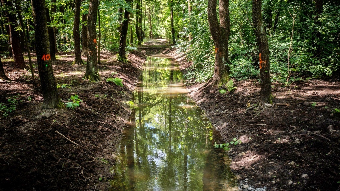 Park Śląski Odbudowany polder przeciwpowodziowy 5