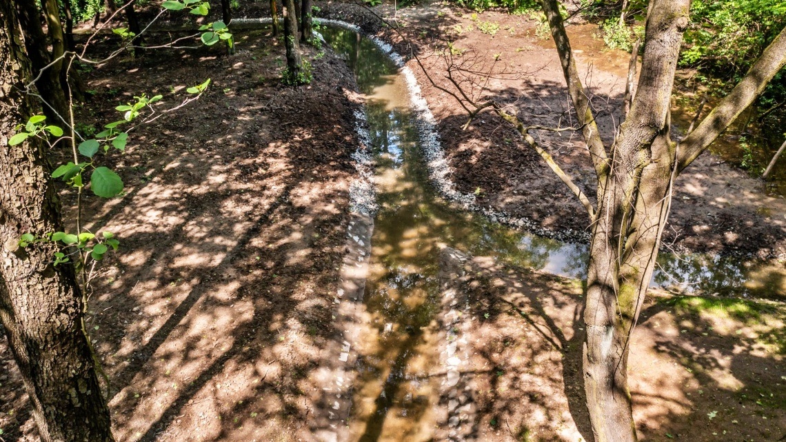 Park Śląski Odbudowany polder przeciwpowodziowy 6