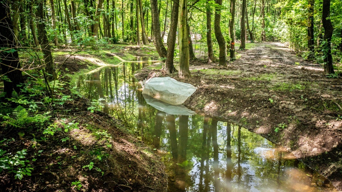 Park Śląski Odbudowany polder przeciwpowodziowy 9