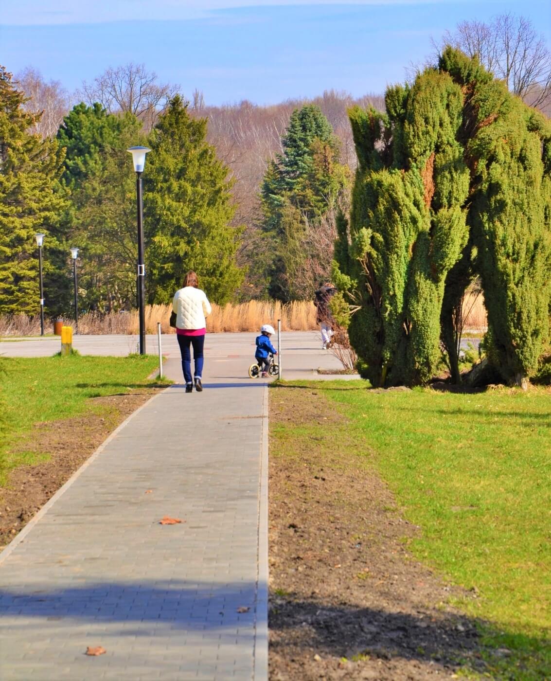 Park Śląski Rewitalizacja otoczenia Hali Wystaw Kapelusz 2