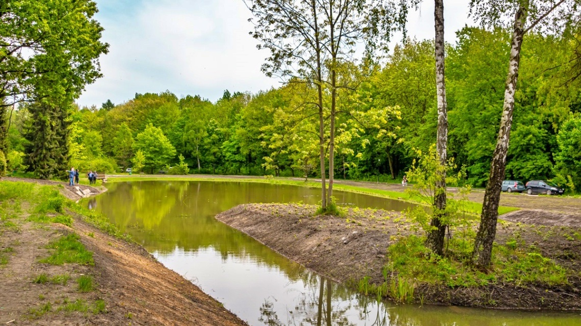 Park Ślaski Zrewitalizowane stawy obok Planetrium i Świątyni Petrycha