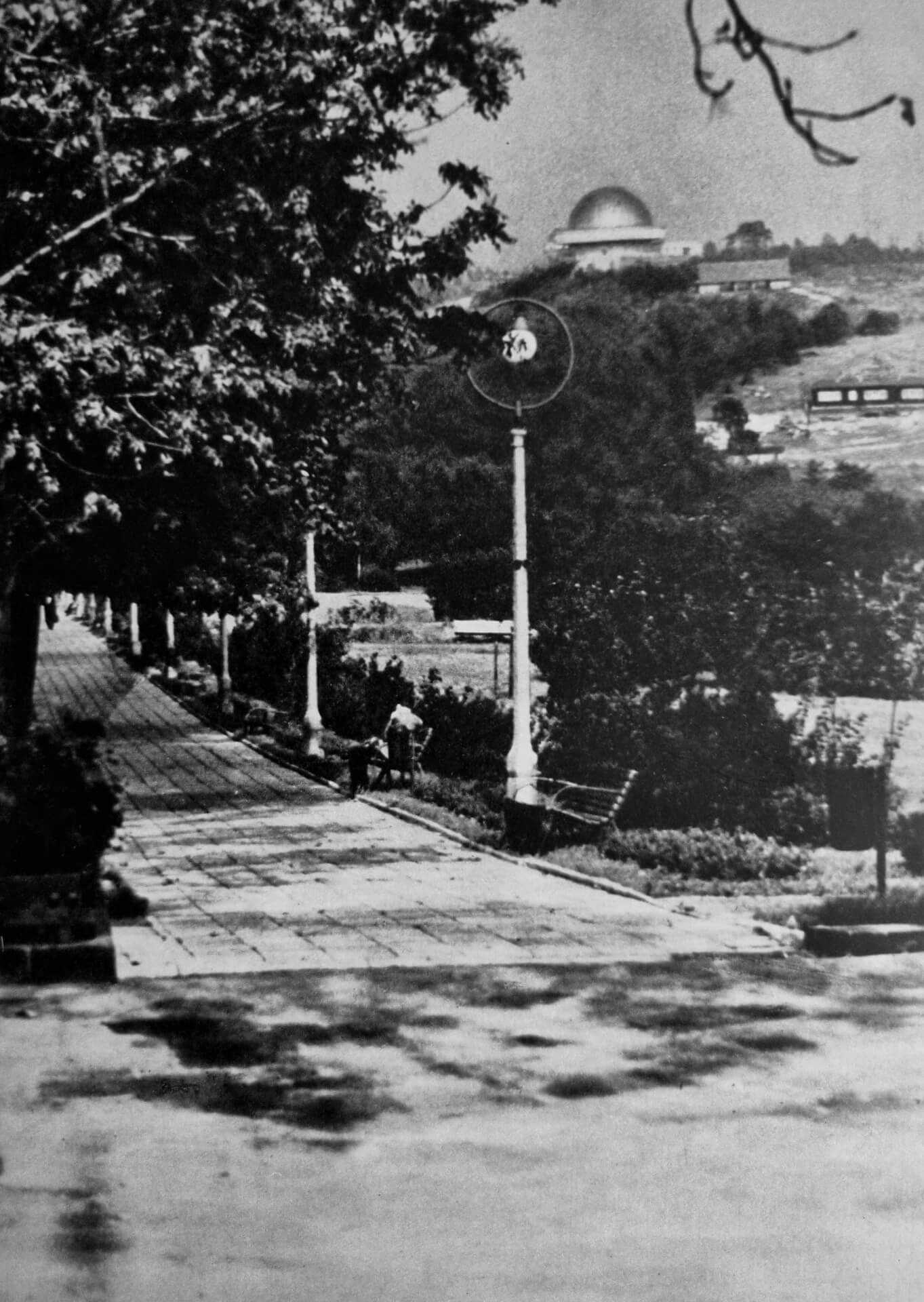 Zaginiony Park Śląski