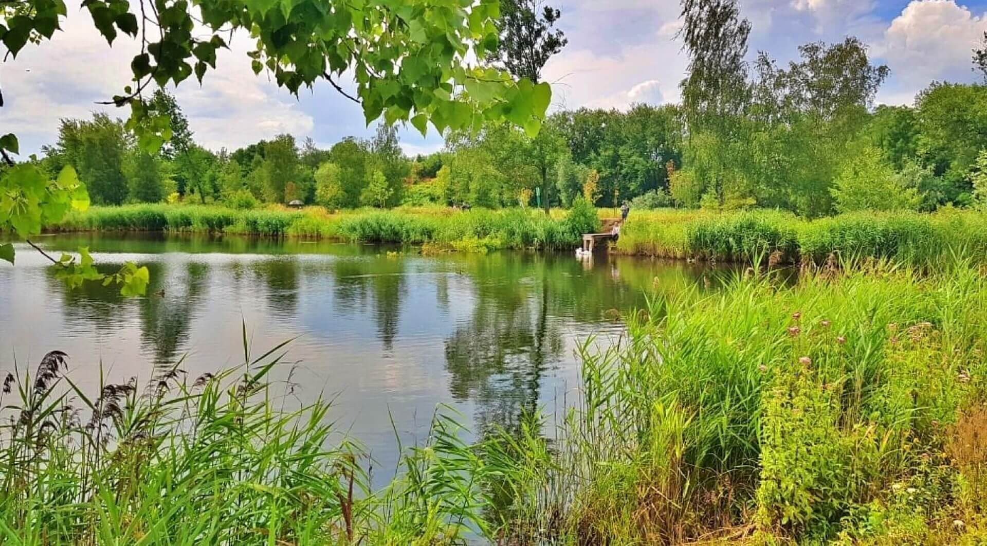 Chorzów Żabie Doły Chorzów Żabie Doły