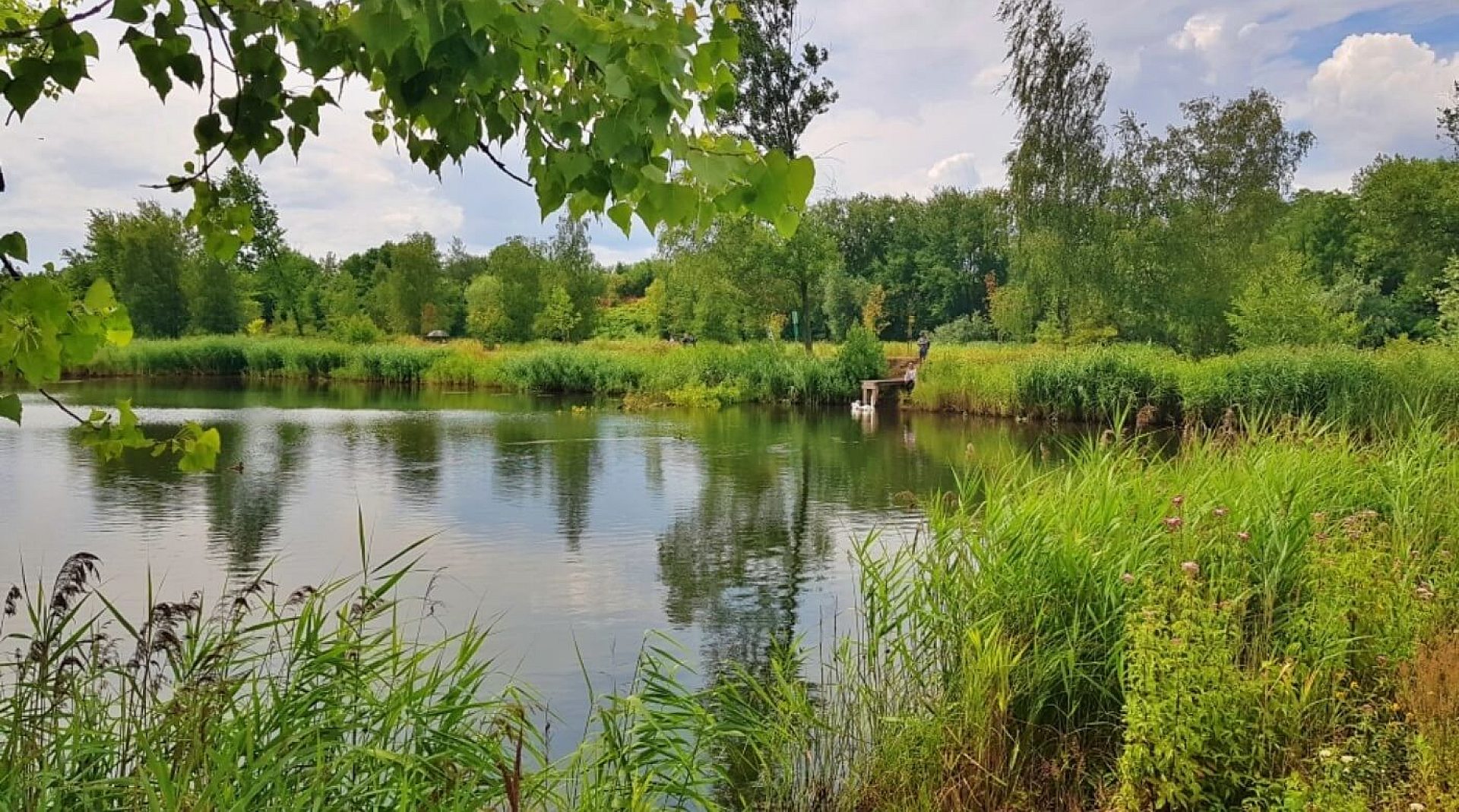 W sobotę spacer przyrodniczy po Żabich Dołach W sobotę spacer przyrodniczy po Żabich Dołach