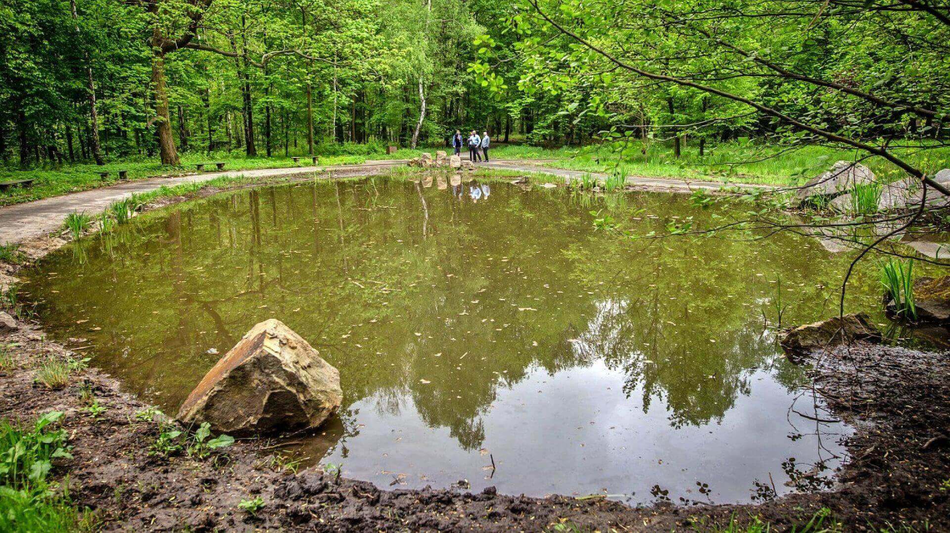 Park slaski Park slaski