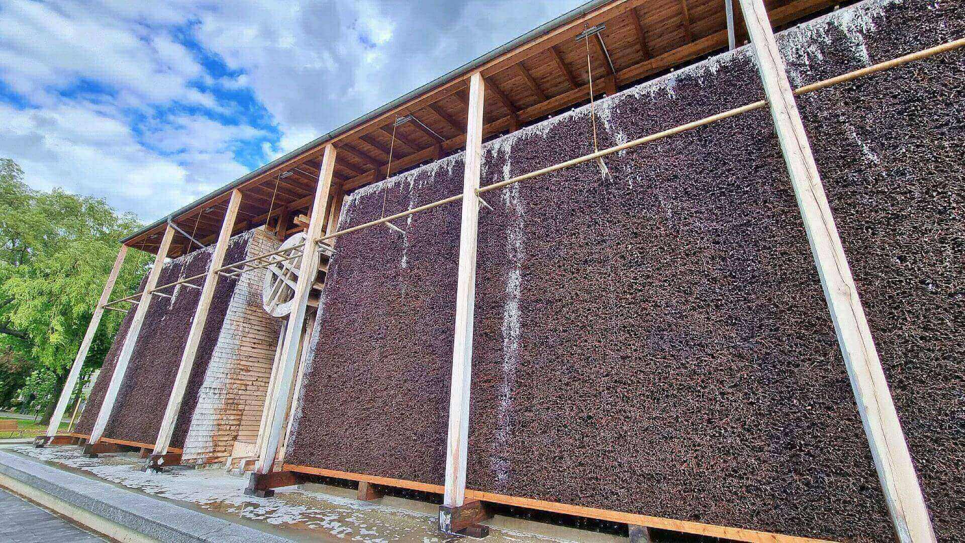 Chorzów tężnia solankowa Chorzów tężnia solankowa