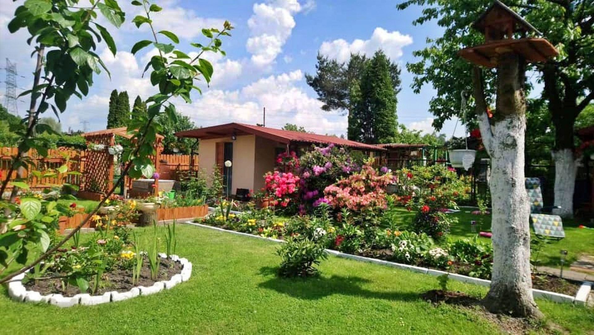 Ogródek działkowy Ogródek działkowy