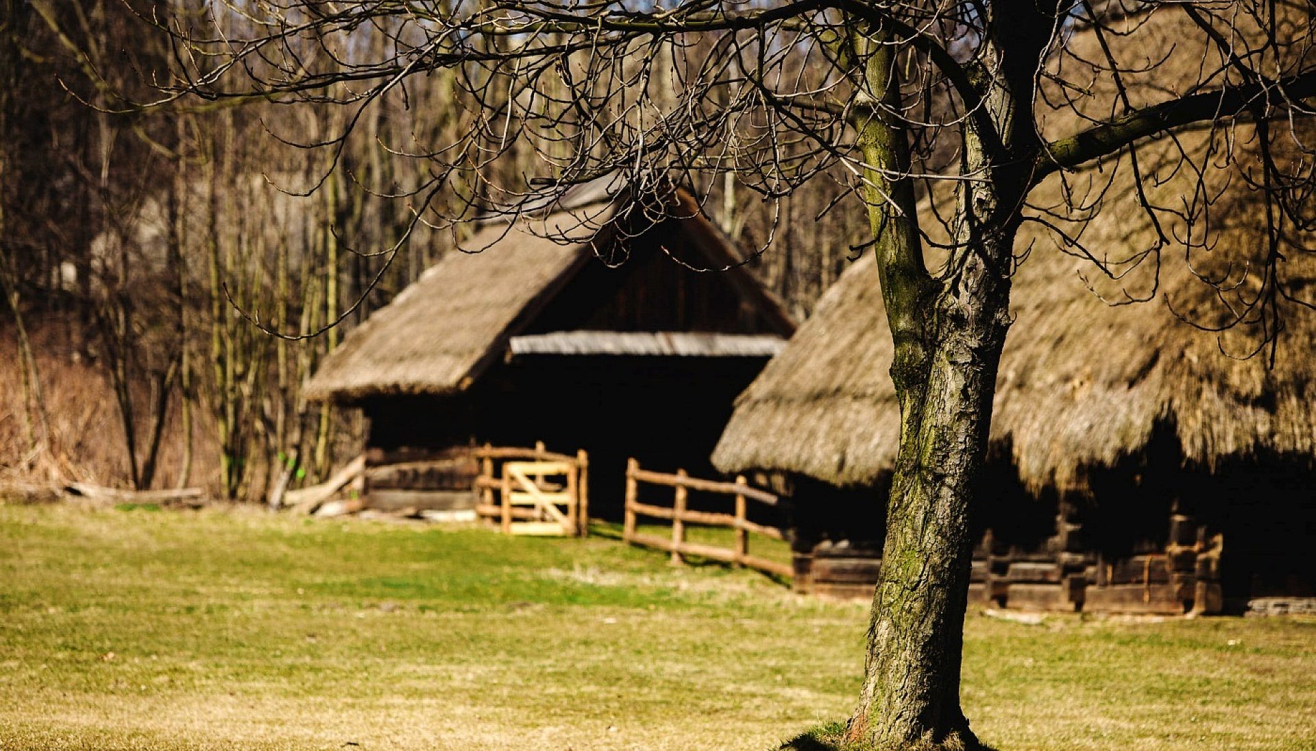 Chorzów skansen Chorzów skansen