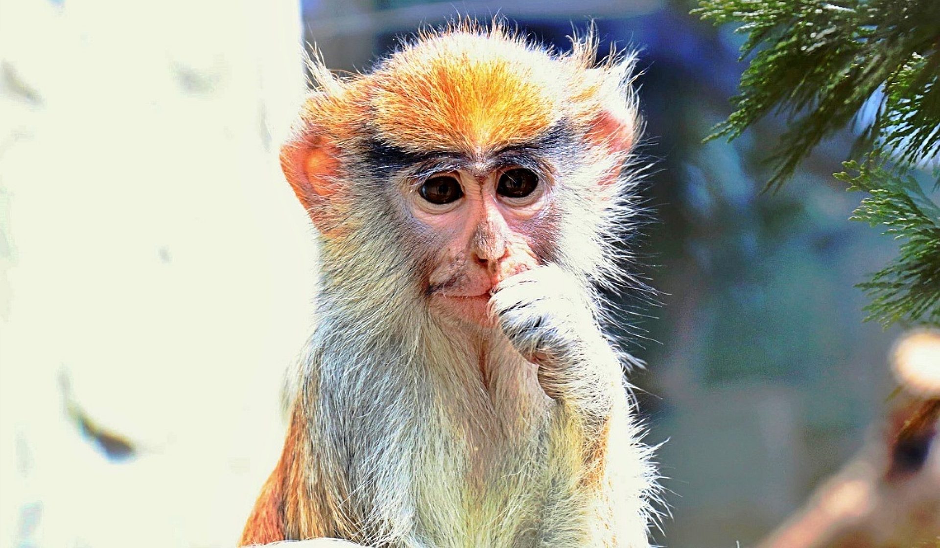 Chorzow zoo Chorzow zoo
