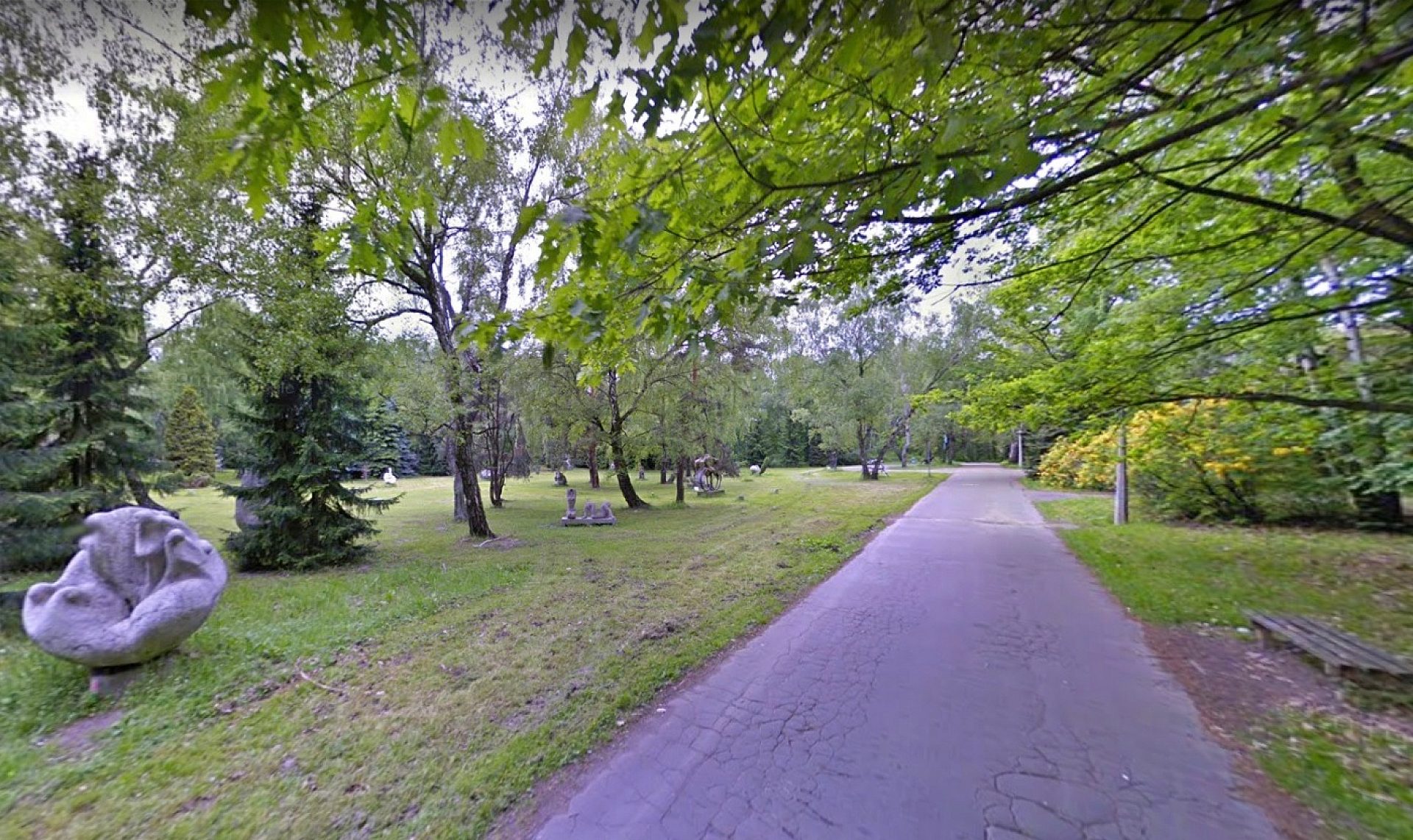 Park Śląski Aleja Łani Park Śląski Aleja Łani