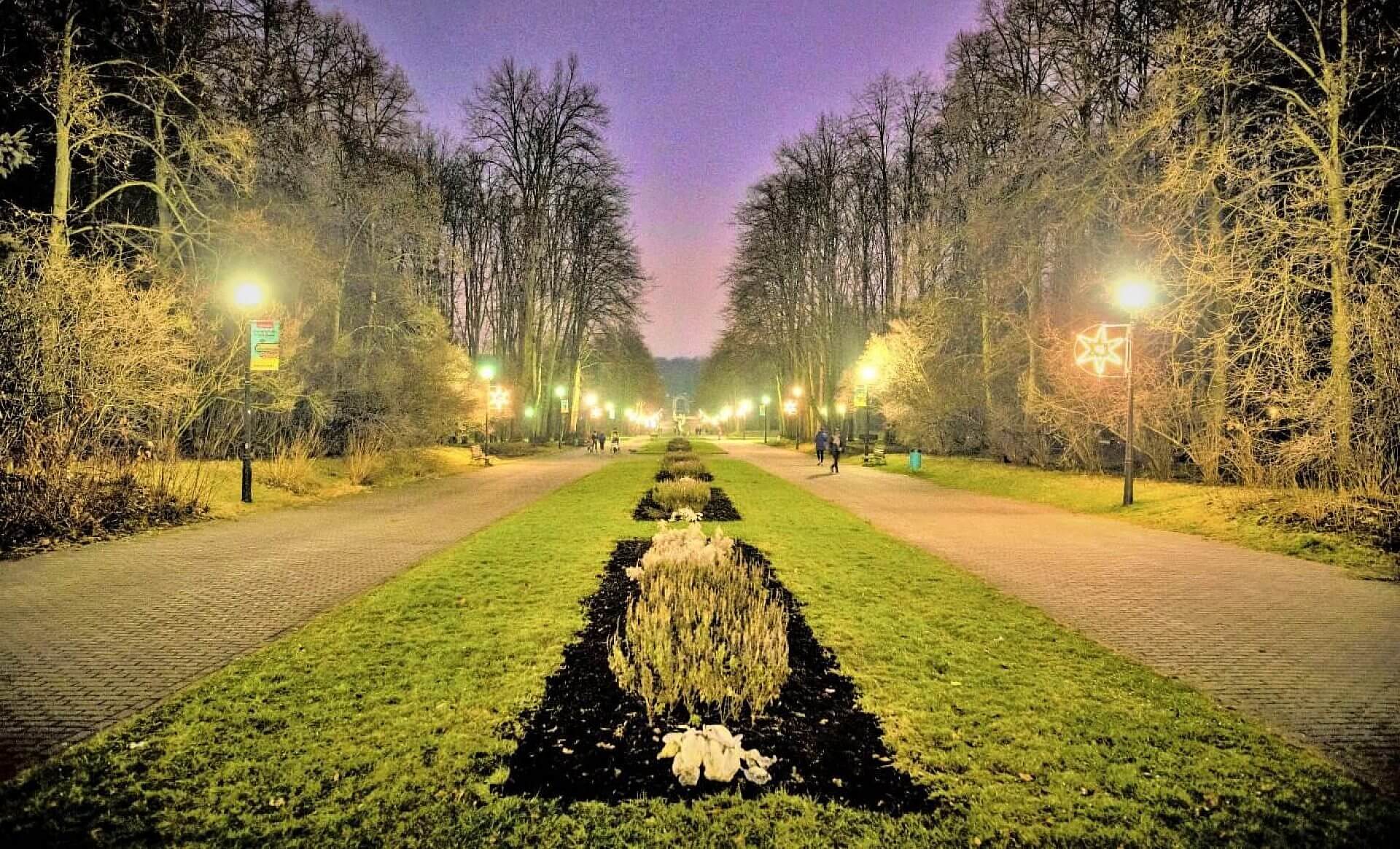 Park Śląski oświetlenie Park Śląski oświetlenie
