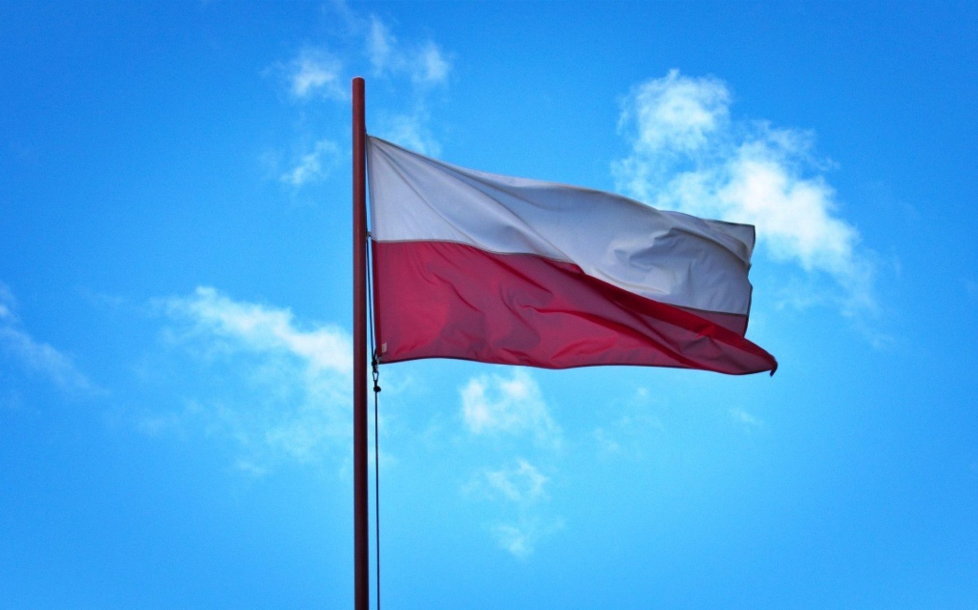 Flaga polski Flaga polski