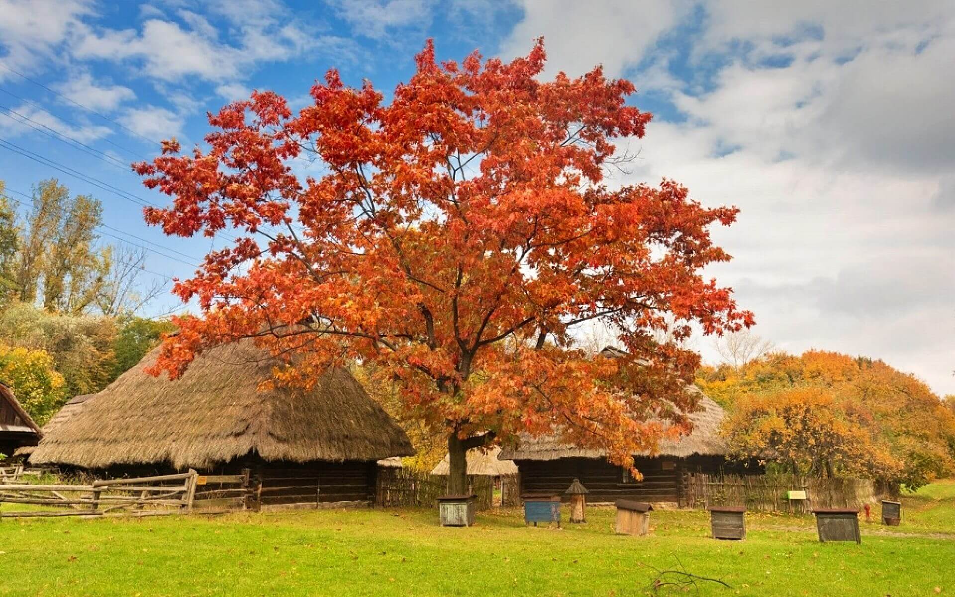 Skansen chorzow Skansen chorzow