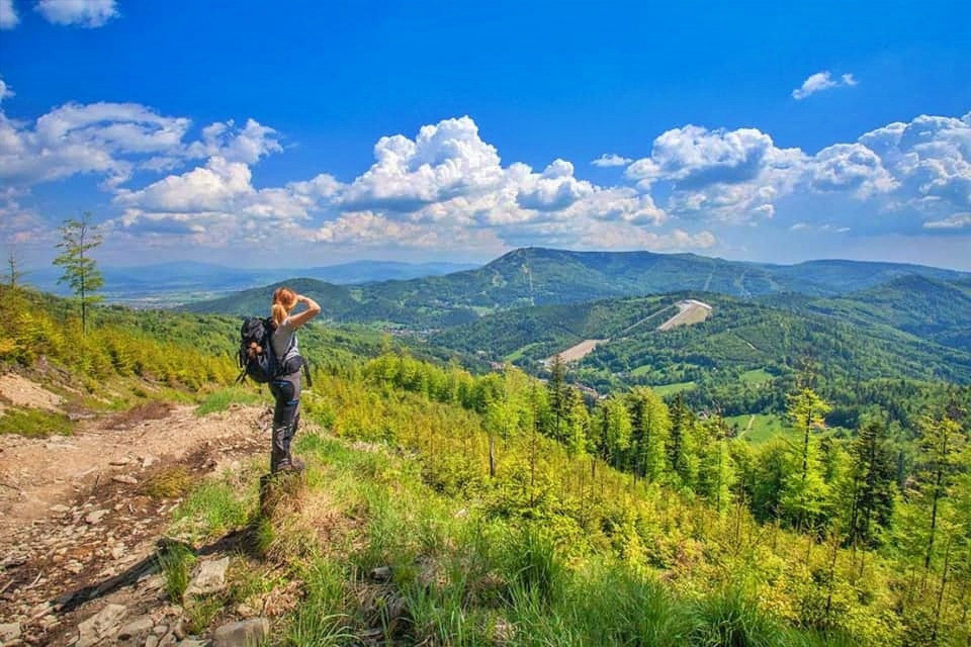 Wybieram slaskie Wybieram slaskie