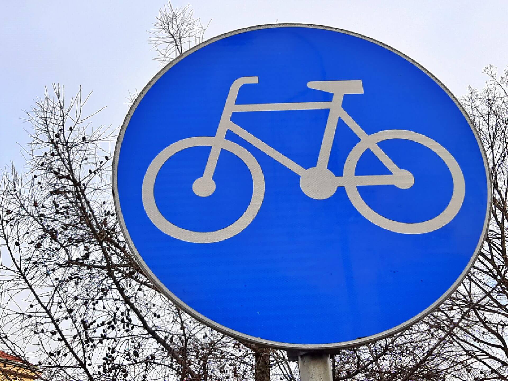 Sciezka znak Sciezka znak