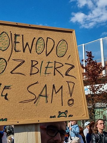 Demonstracja w obronie Żabich Dołów 3 Demonstracja w obronie Żabich Dołów 3