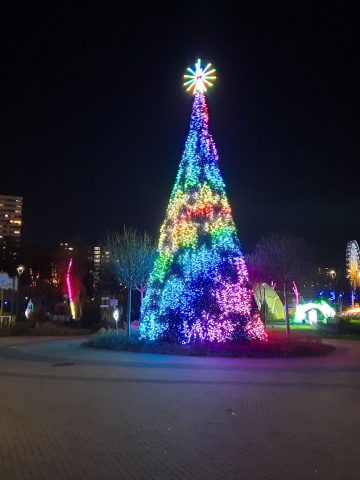 Ogród Świateł Pinokio 1 Ogród Świateł Pinokio 1