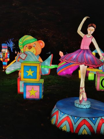 Ogród Świateł Pinokio 3 Ogród Świateł Pinokio 3