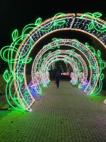 Ogród Świateł Pinokio 4 Ogród Świateł Pinokio 4