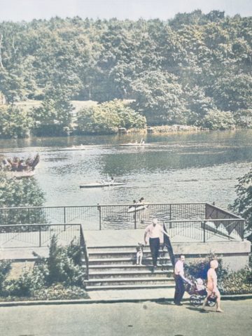 Park Śląski Kanał Regatowy i Duży Staw Park Śląski Kanał Regatowy i Duży Staw