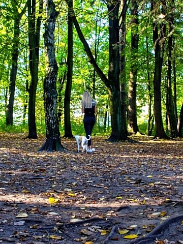 Park Śląski Modernizacja wybiegu dla psów 6 Park Śląski Modernizacja wybiegu dla psów 6