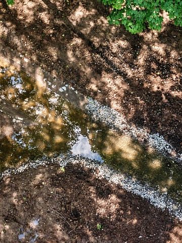 Park Śląski Odbudowany polder przeciwpowodziowy 7 Park Śląski Odbudowany polder przeciwpowodziowy 7