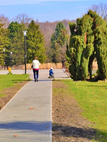 Park Śląski Rewitalizacja otoczenia Hali Wystaw Kapelusz 2 Park Śląski Rewitalizacja otoczenia Hali Wystaw Kapelusz 2