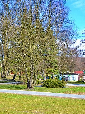 Park Śląski Rewitalizacja otoczenia Hali Wystaw Kapelusz 5 Park Śląski Rewitalizacja otoczenia Hali Wystaw Kapelusz 5