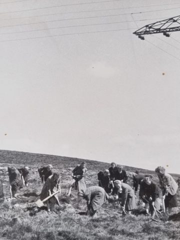 Początki WP Ki W APK 8 Początki WP Ki W APK 8