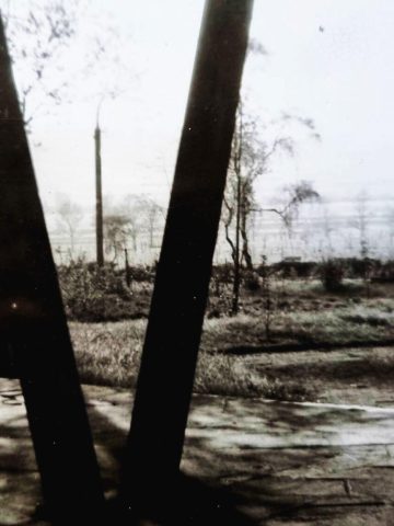 Początki WP Ki W Początki WP Ki W