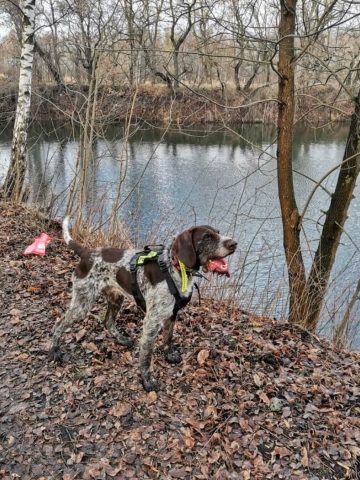 Poszukiwania Artura Kołodziejczyka 3 Poszukiwania Artura Kołodziejczyka 3