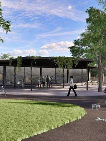 W chorzowskim zoo powstanie nowa lwiarnia 5 W chorzowskim zoo powstanie nowa lwiarnia 5