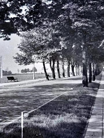 Wejście główne do Parku Śląskiego 11 Wejście główne do Parku Śląskiego 11